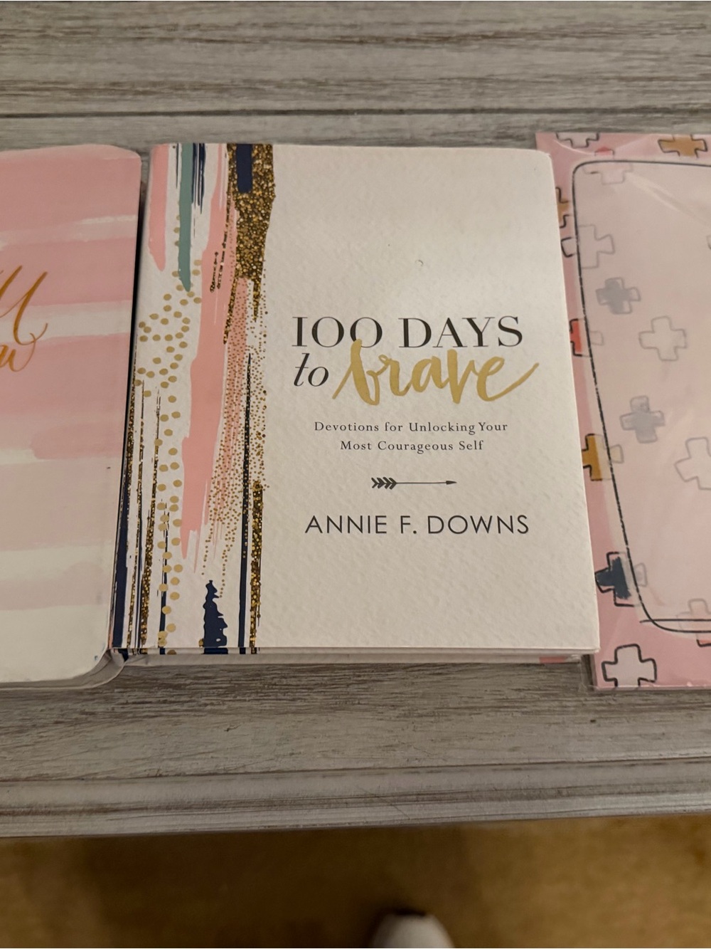 100 Days to Brave Devotional by Annie F. Downs - Pink, Gold & Navy Accent